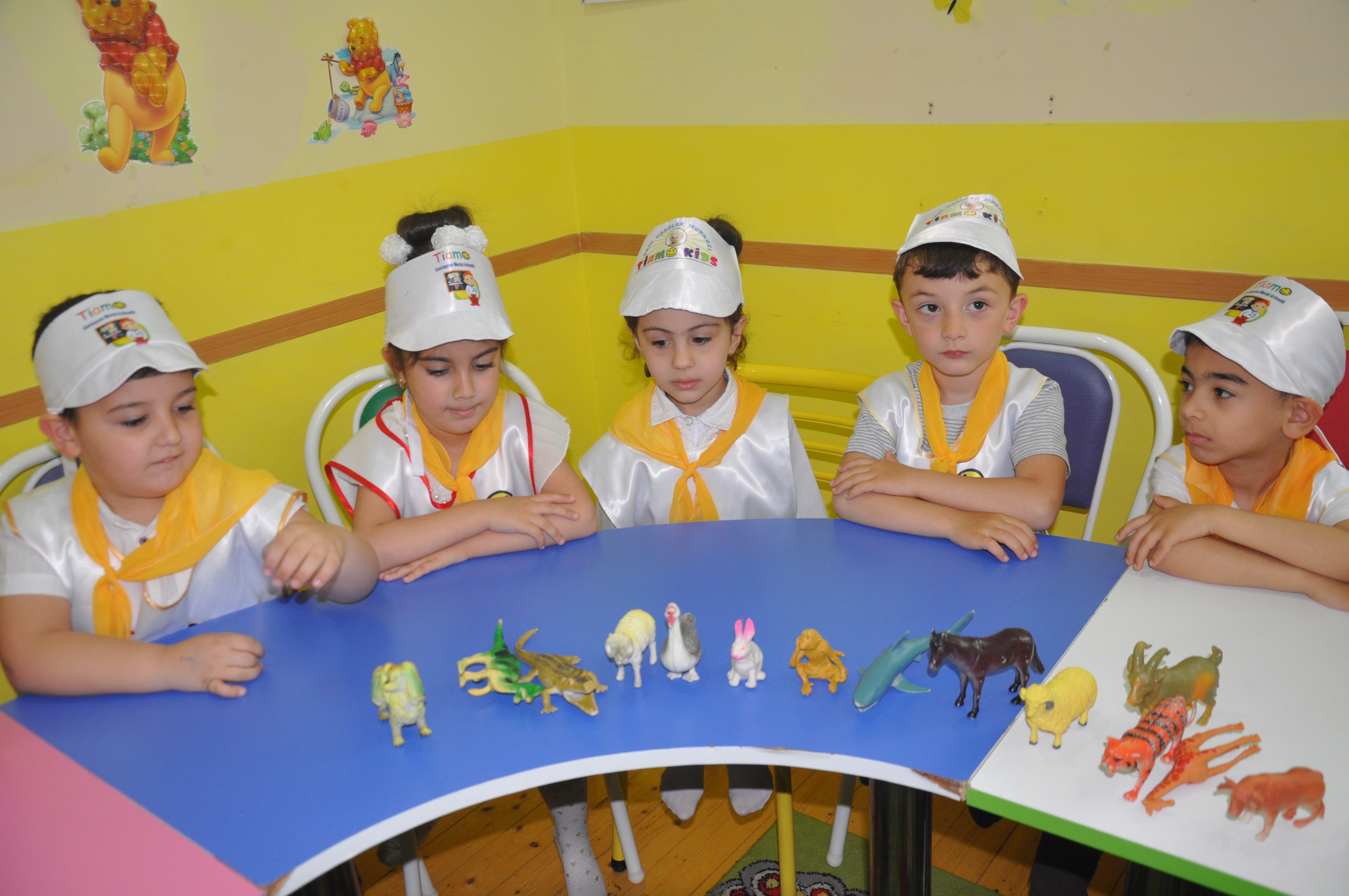 mini bağça (22).JPG